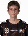 Teodor HRIC